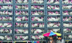 Antyterroryści krępują naukę