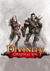 Okładka: Divinity: Original Sin