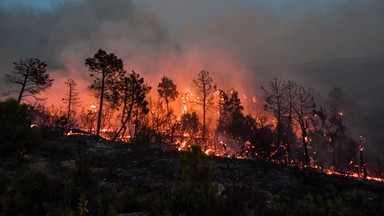 Piekło na ziemi. Tego lata wszyscy odczujemy skutki zmian klimatu