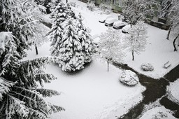 atak zimy na podkarpaciu. ponad 80 tys. gospodarstw bez prądu