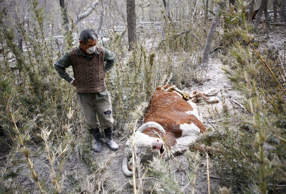 Argentina, SAN MARTIN DE LOS ANDES, prensa