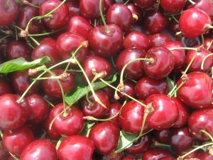 810428-cherries-2-d0000000E802f46376932