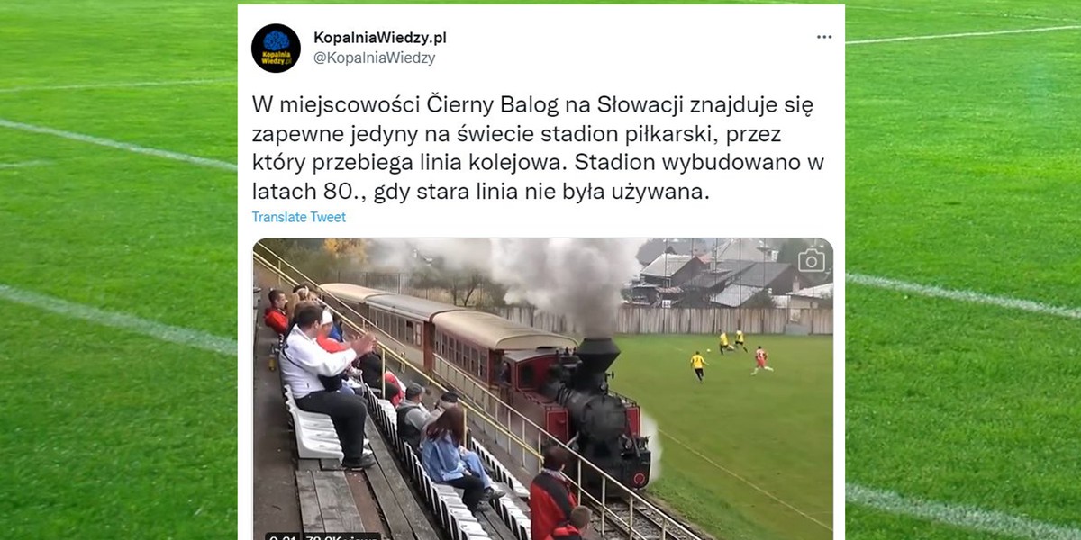 Widzowie podczas meczów słowackiej drużyny mogą być świadkami niezwykłych scen. 