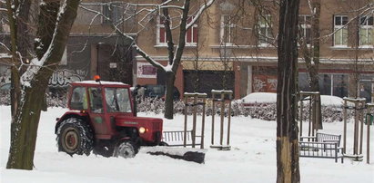 Odśnieżają parki zamiast ulic