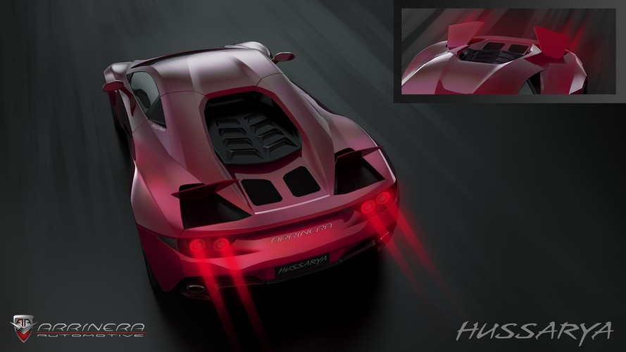Arrinera Hussarya (7)