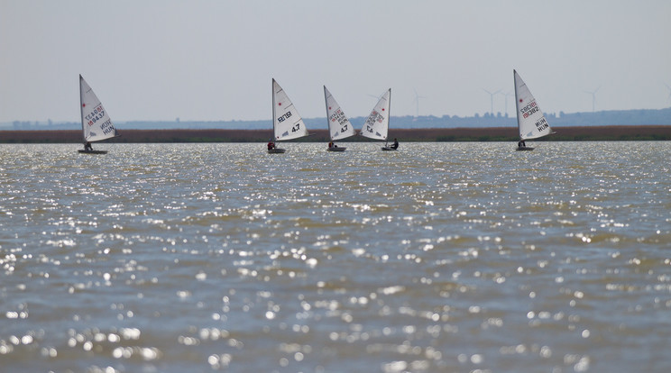 Veszélyben a Fertő-tó. /Fotó: MTI - Nyikos Péter