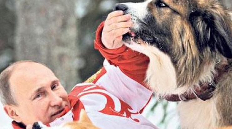 Kutyáival játszott Vlagyimir Putyin