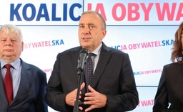 Zarząd PO: najpierw obsada władz Senatu i kandydat na prezydenta, później wybory w partii