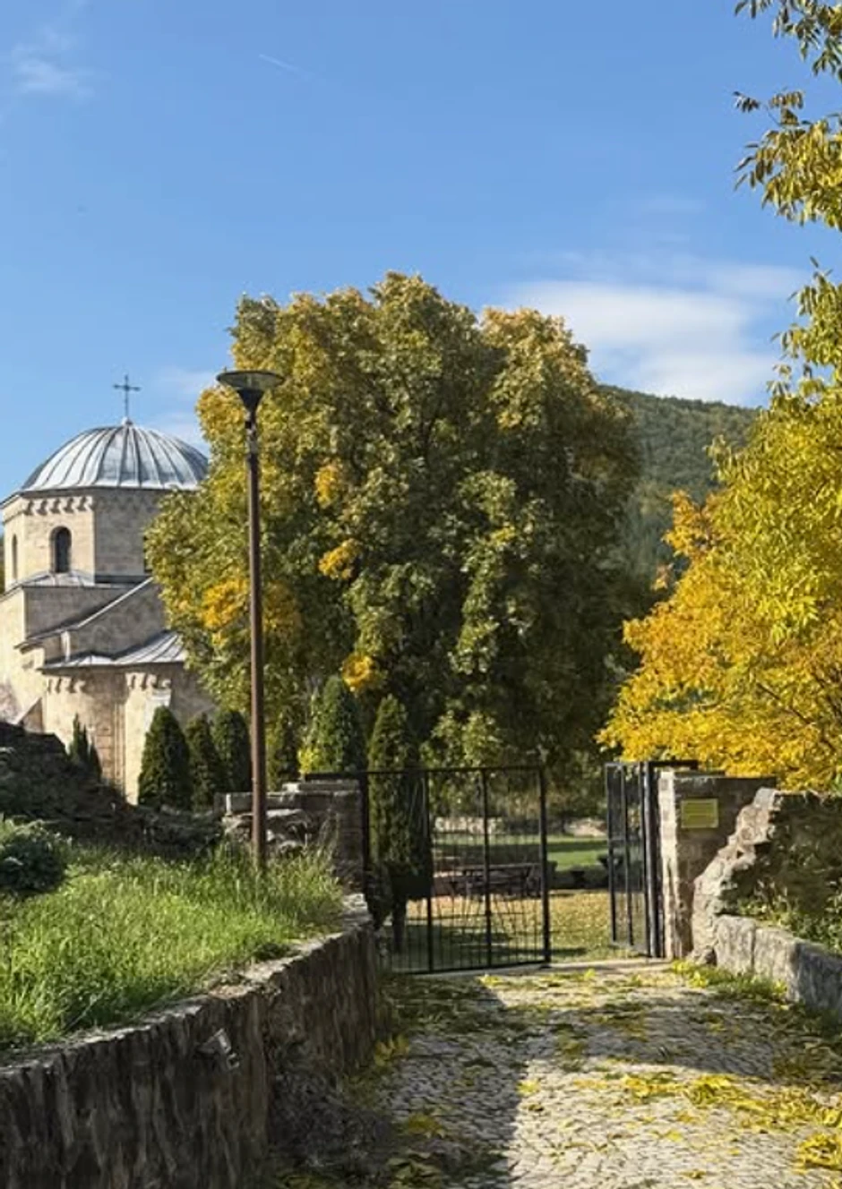 Dragana Mićalović, objava