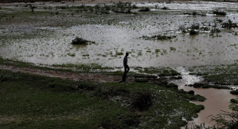 Flash floods displace nearly 120,000 in Ethiopia: aid agencies