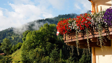 Balkon tonący w kwiatach