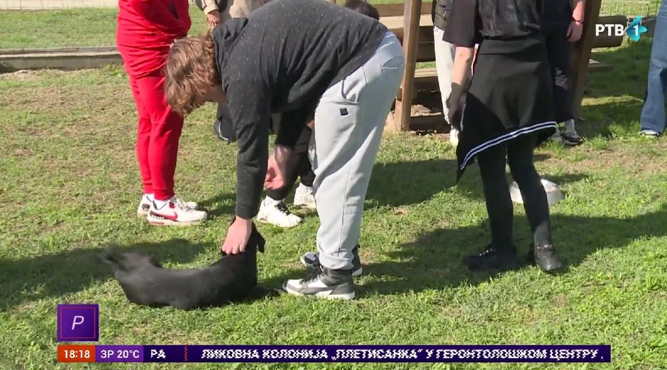 Škola udomila tri psa