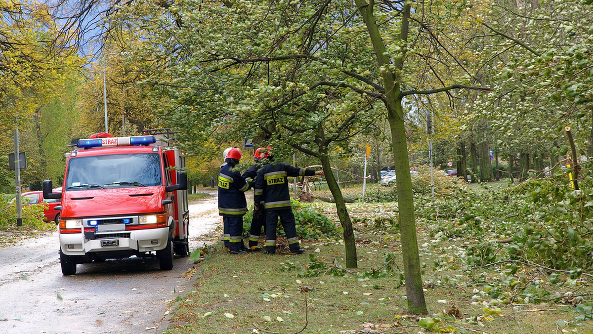 Ponad 600 interwencji strażaków i około 23 tys. odbiorców bez prądu – to bilans burz, które przeszły głównie nad zachodnią Polską – poinformowały Państwowa Straż Pożarna i Rządowe Centrum Bezpieczeństwa.