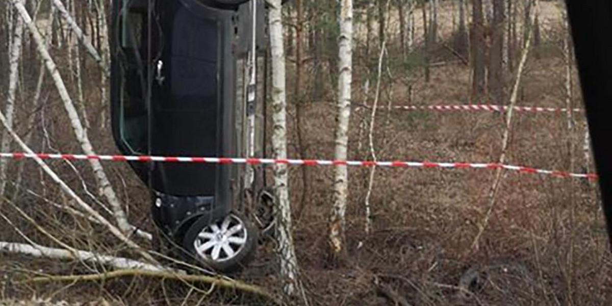 Auto "stanęło" na drzewie. Kierowcy szuka policja