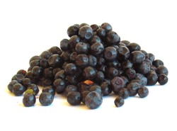 Uwaga! W co drugim słoju jagód jest zaraza