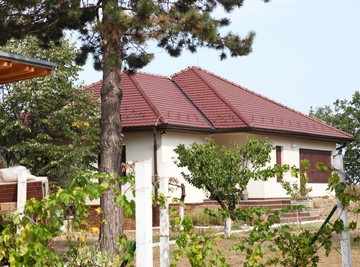 Zavirite u tajni raj na obali Dunava: Šta krije bajkovito imanje Slobode i Vojina?
