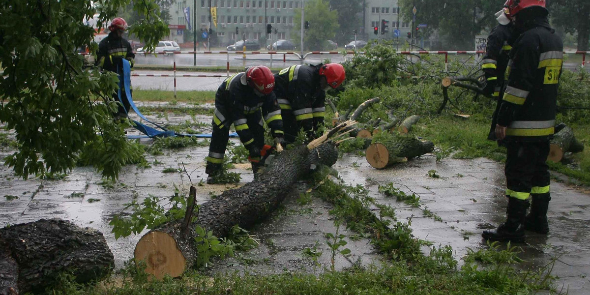 Drzewo spadło na kobietę z kilkumiesięcznym dzieckiem