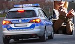 13-latek z Elbląga upozorował porwanie kobiety. Postawił na nogi policję z dwóch województw