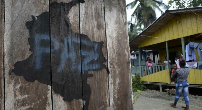 View of FARC members at the 34 Alberto Martinez camp front in Vegaez municipality, Antioquia department, Colombia on December 30, 2016