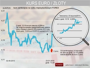 Wyprzedaż złotego. Polska waluta najsłabsza od czterech miesięcy