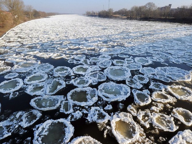Kry na rzece Oder w Niemczech