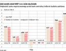 Jaki wynik miał NBP i co z nim się działo