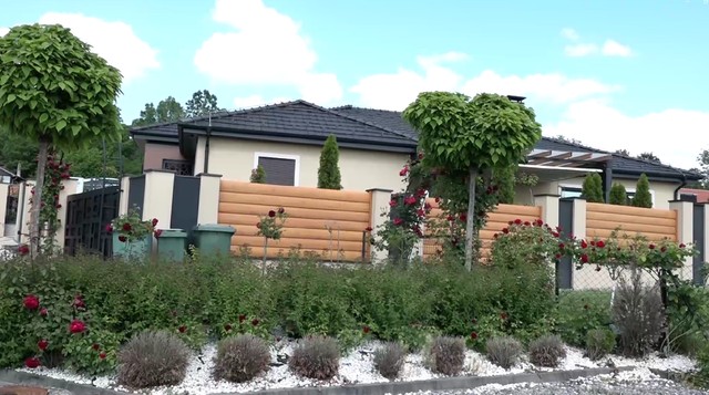 Borko Radivojević, kuća, emisija "Metar moga sela"