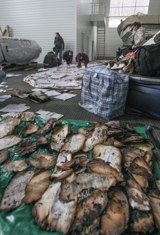 Pomnik korupcyjnego cara w podkijowskim Meżyhirju