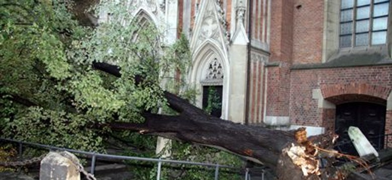 Burza łamała drzewa na Kujawach