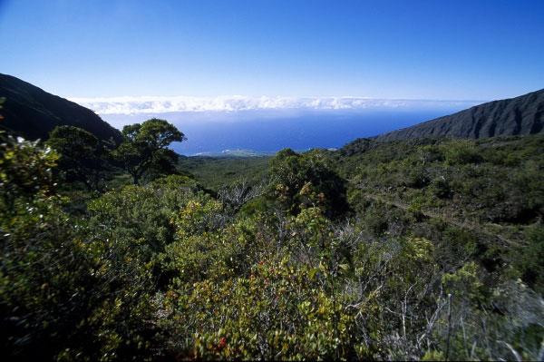 Galeria USA - Hawaje, Maui i Hawaii, obrazek 6