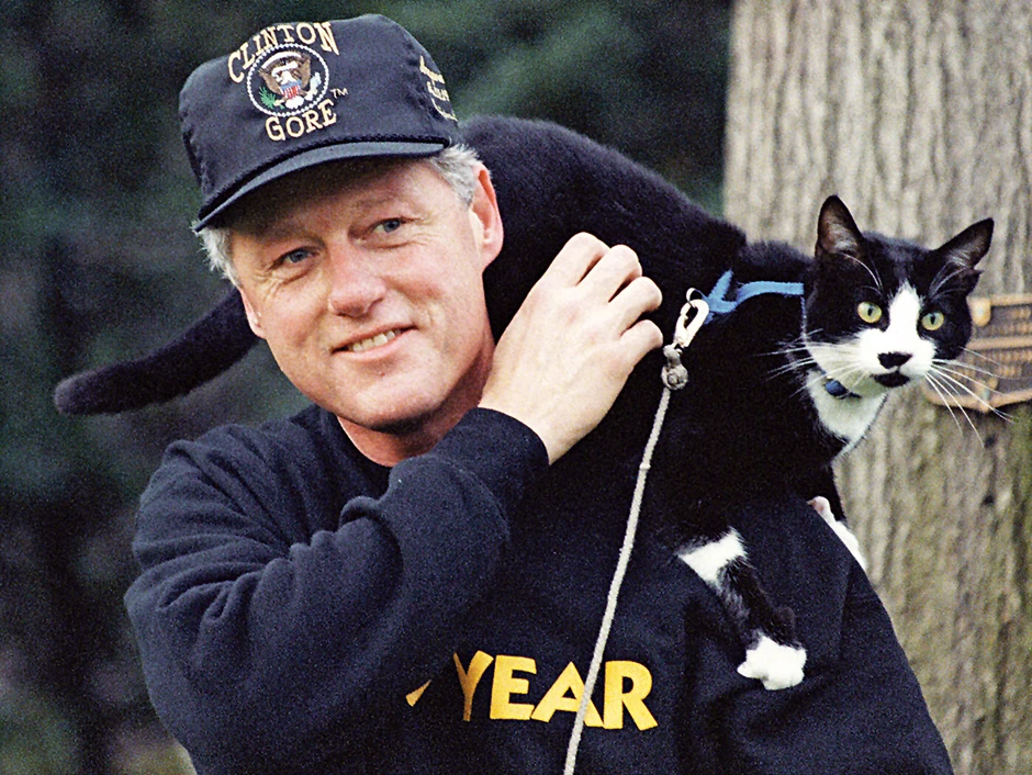 Tokom mandata Bila Klintona, u Beloj kući su živeli i njegovi kućni ljubimci - mačka Soks i labrador retriver boje čokolade Badi