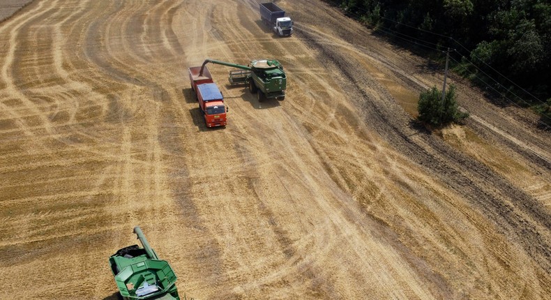 The Russia-Ukraine conflict has threatened global wheat supplies.