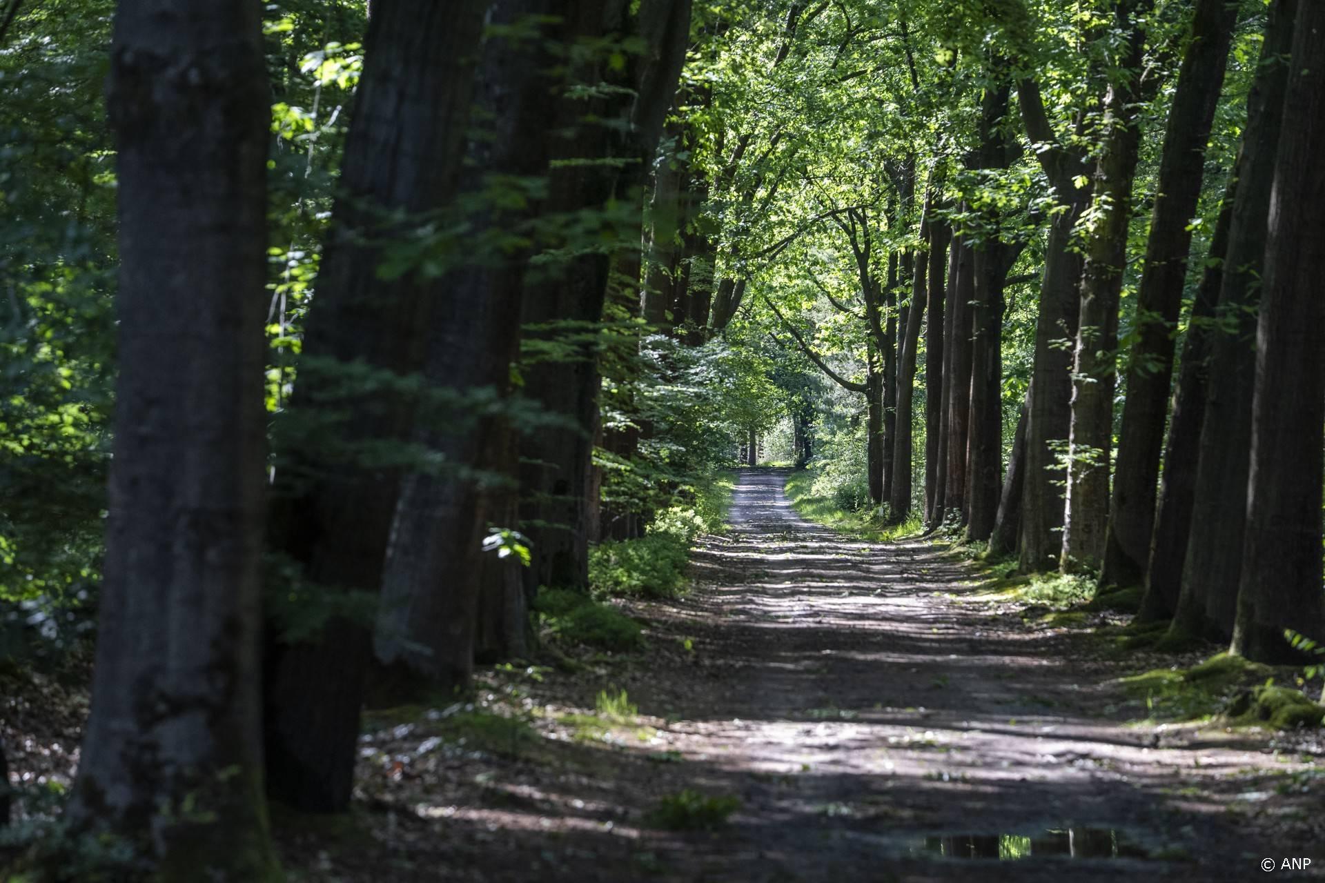 Rechter: Utrecht mag wolf Bram afschieten na aanvallen