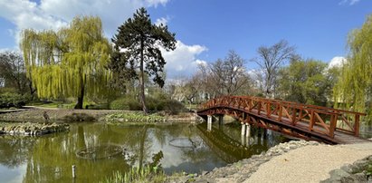 Taka będzie majówka we Wrocławiu. Atrakcje w plenerze i szczepienia pod urzędem