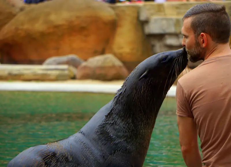 Paweł opiekuje się pingwinami i fokami w zoo