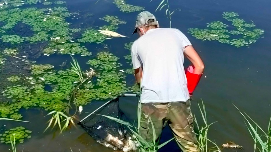 Śnięte ryby nad Odrą. Sytuacja w Słubicach