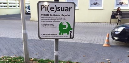 Pisuary dla psów w Polsce. Oto piesuary