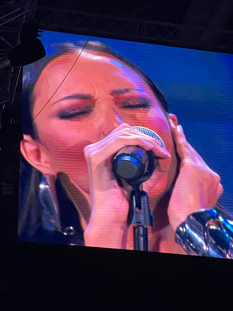 Aleksandra Prijović plače na trećem koncertu