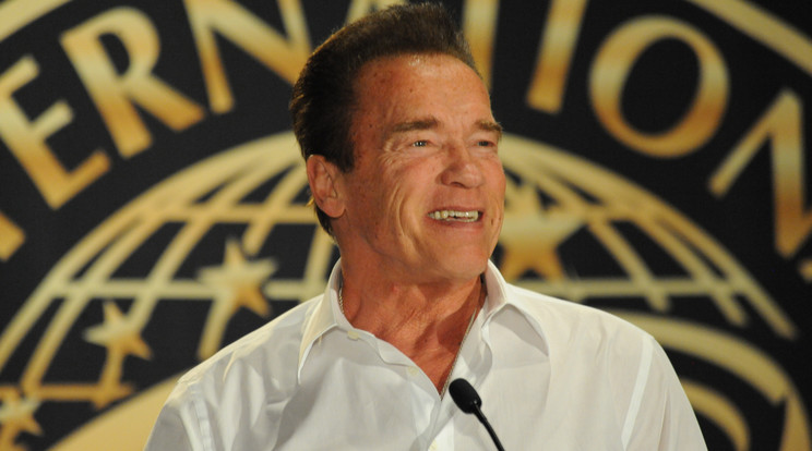 Arnold Schwarzenegger /Fotó: Northfoto