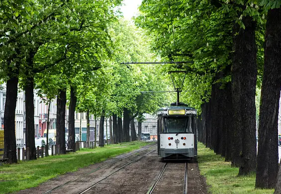 W Warszawie może powstać 83 ha terenów zielonych. To więcej niż Łazienki Królewskie