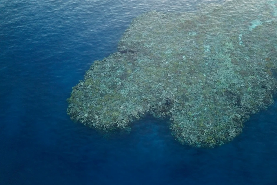 Veliki koralni greben kod obale Kvinslenda, Australija u novembru 2022.