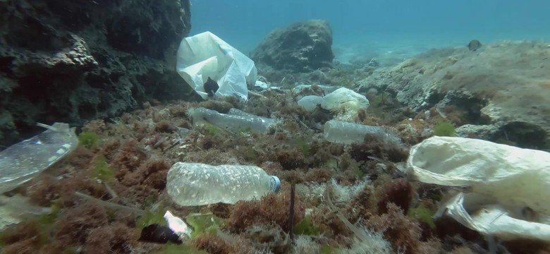 Straszny widok w morzach i oceanach. Na powierzchni tego nie widać