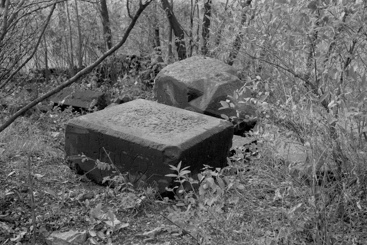 Cmentarz choleryczny