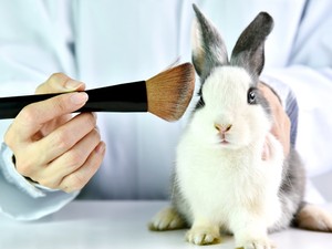 Sajnos a hír nem igaz: továbbra is tesztelhetnek állatokon Kínában