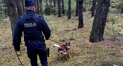 Poszła na grzyby i straciła orientację. Na ratunek przyszedł czworonożny funkcjonariusz