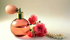 Eau de Parfum für Damen bis 50 Euro: Von exotisch bis dezent