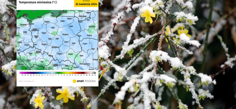 Fala chłodów nad Polską sprowadza przymrozki. To dopiero początek niskich temperatur