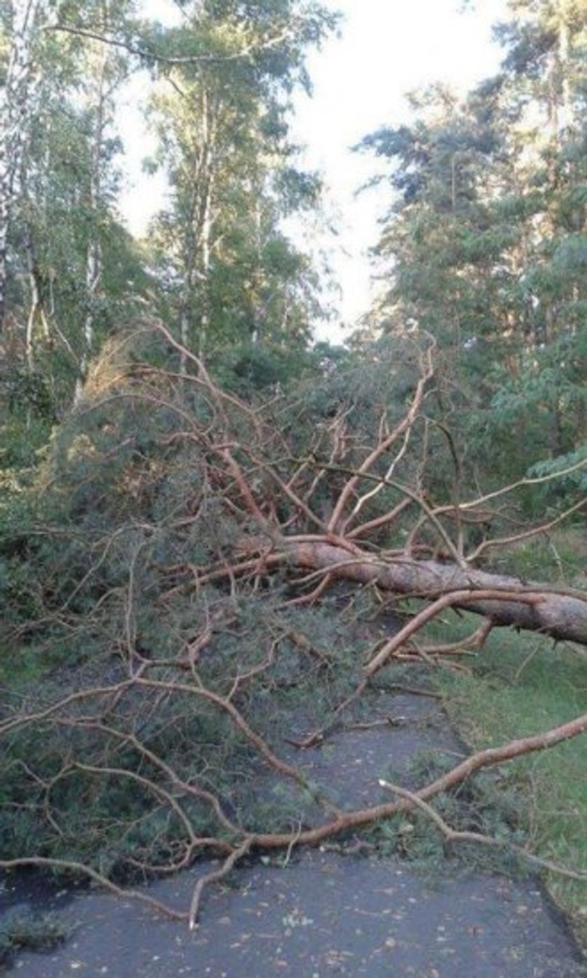 Wielkopolska spustoszona po niedzielnej nawałnicy