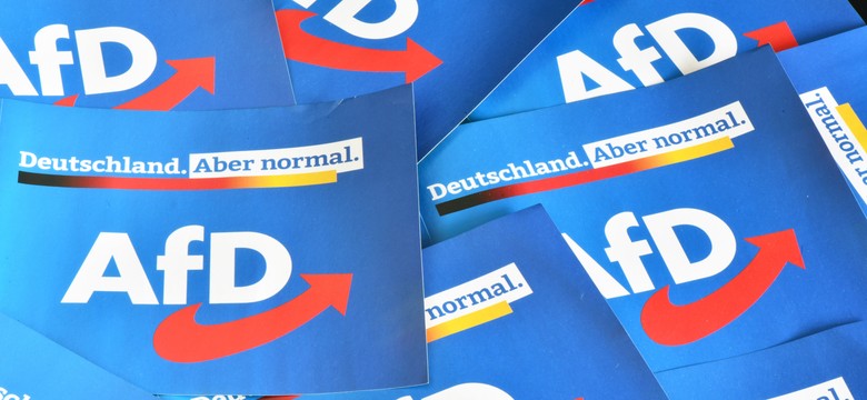Sukces populistów z AfD. "Teraz muszą mieć rząd dusz"