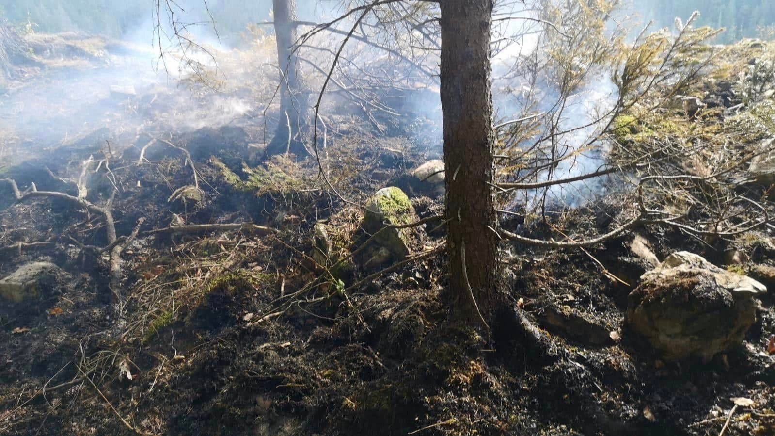 Správa NAPANT-u podáva pre požiar v Salatíne podnet na enviropolíciu.